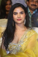 Minakshi Goswamy Pictures